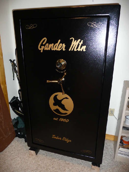 Gander Mountain Gun Safes